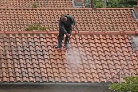 Nettoyage et démoussage de toiture à Saint-Romain-la-Virvée à Saint-Romain-la-Virvée